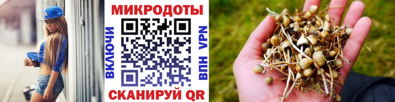 Купить где  Озёрск  Псилоцибиновые грибы мухоморы 